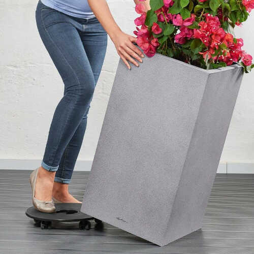 CANTO Stone 40 High on Coasters